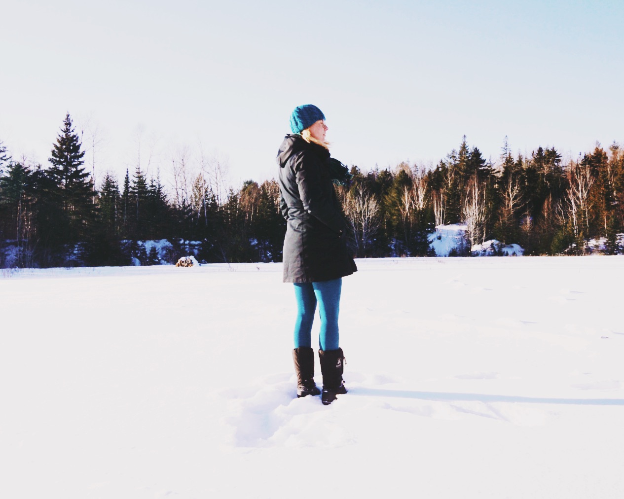 pictapgo-image